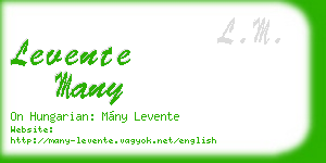 levente many business card